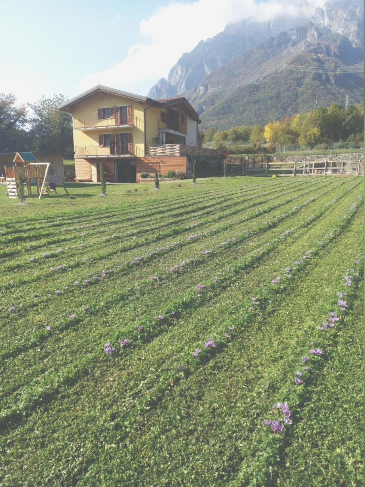 Azienda Agricola Agriturismo I Sei Petali Capo di Ponte ภายนอก รูปภาพ